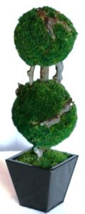 19 inch   Double Moss Topiary